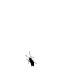 bugavatar38603 19