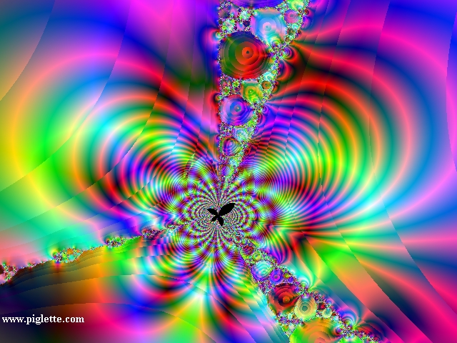 Butterfly Wing Chaotic Magnetic Field 267