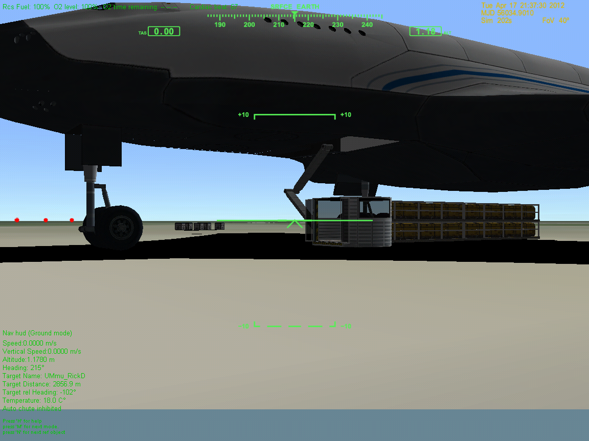Chronus. Up close, you can see she is one big-ass bird.
