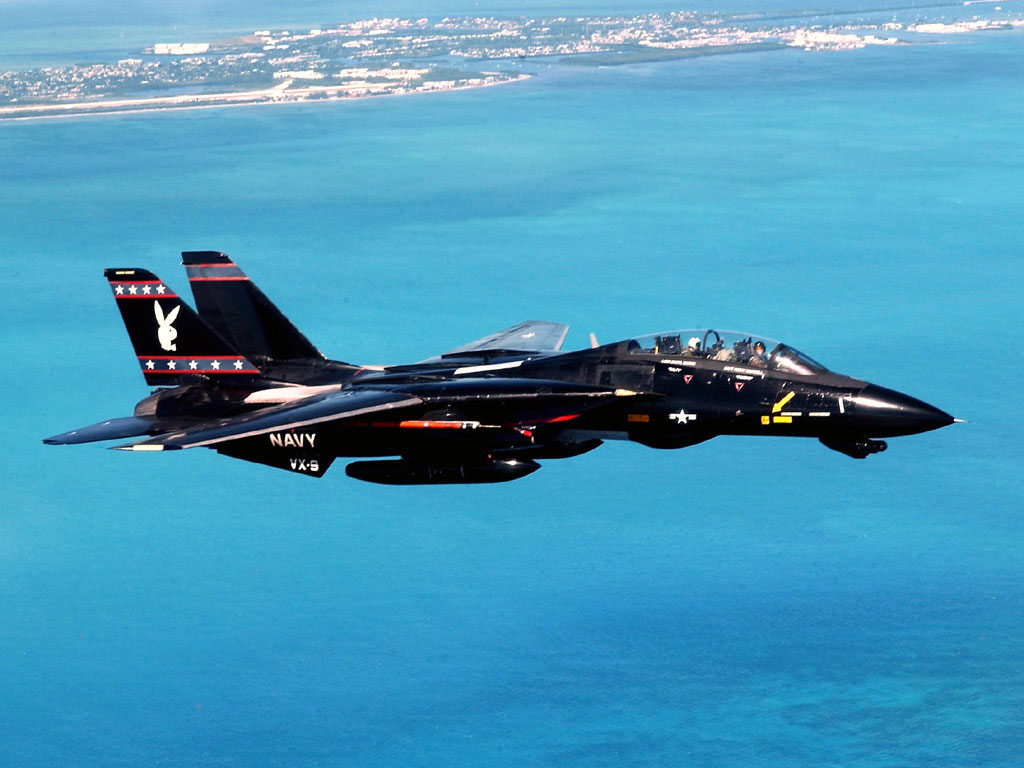 F-14 Tomcat