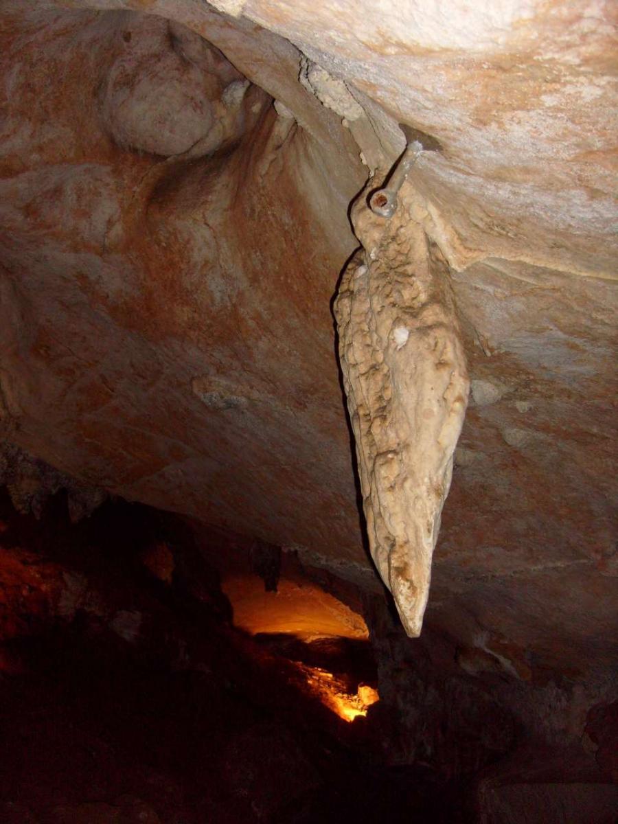 Stalactite and climbing bolt that looked like a hummingbird